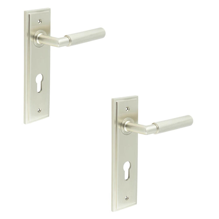 PACK Premium Satin Nickel Euro Door Handle with Backplate Solid Brass Interior Handle (1)