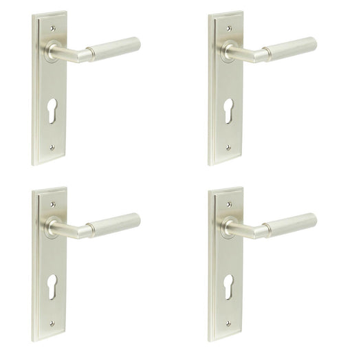 PACK Premium Satin Nickel Euro Door Handle with Backplate Solid Brass Interior Handle