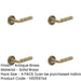 PACK Antique Brass Knurled Door Handle with Rose Elegant Interiors Solid Brass Interior Handle-1