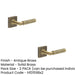 PACK Antique Brass Door Handle with Square Rose Elegant Interiors Solid Brass Interior Handle (1)-1
