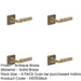 PACK Antique Brass Door Handle with Square Rose Elegant Interiors Solid Brass Interior Handle-1