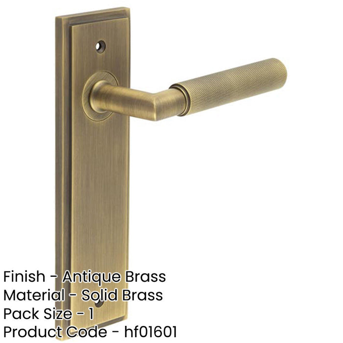 Antique Brass Door Handle Latch Backplate with Versatile Options Solid Brass Interior Handle-1