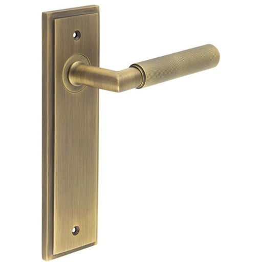 Antique Brass Door Handle Latch Backplate with Versatile Options Solid Brass Interior Handle