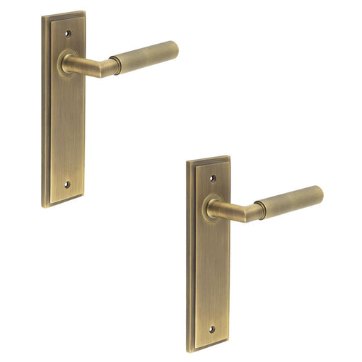 PACK Antique Brass Door Handle Latch Backplate with Versatile Options Solid Brass Interior Handle (1)