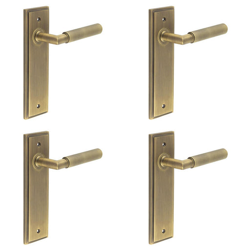 PACK Antique Brass Door Handle Latch Backplate with Versatile Options Solid Brass Interior Handle