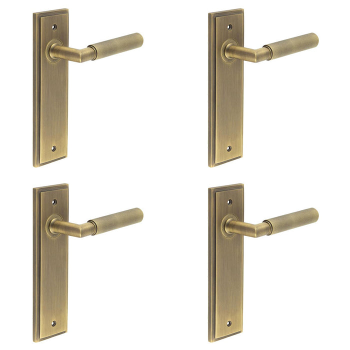 PACK Antique Brass Door Handle Latch Backplate with Versatile Options Solid Brass Interior Handle