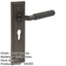 Elegant Dark Bronze Door Handle with Euro Backplate Modern Interiors Solid Brass Interior Handle-1