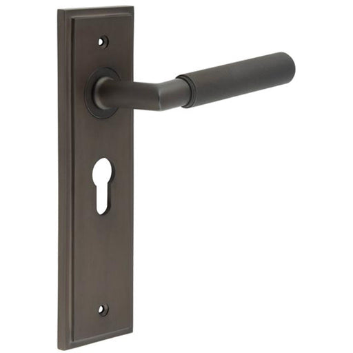 Elegant Dark Bronze Door Handle with Euro Backplate Modern Interiors Solid Brass Interior Handle