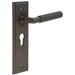 Elegant Dark Bronze Door Handle with Euro Backplate Modern Interiors Solid Brass Interior Handle