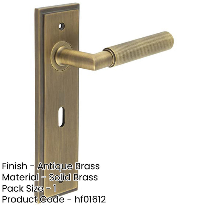 Antique Brass Door Handle Lock Backplate with Versatile Mounting Options Solid Brass Interior Handle-1