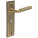 Antique Brass Door Handle Lock Backplate with Versatile Mounting Options Solid Brass Interior Handle