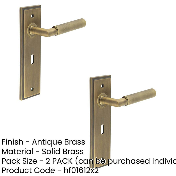 PACK Antique Brass Door Handle Lock Backplate with Versatile Mounting Options Solid Brass Interior Handle (1)-1