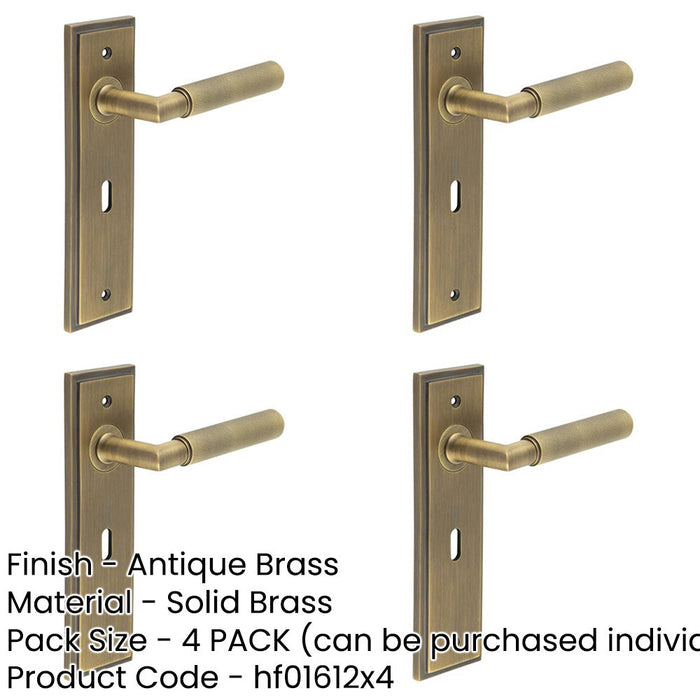 PACK Antique Brass Door Handle Lock Backplate with Versatile Mounting Options Solid Brass Interior Handle-1