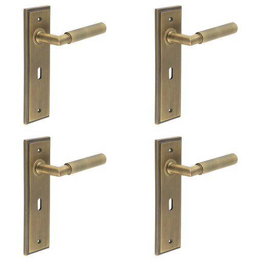 PACK Antique Brass Door Handle Lock Backplate with Versatile Mounting Options Solid Brass Interior Handle