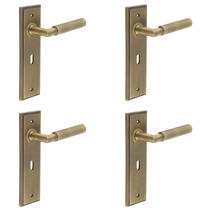 PACK Antique Brass Door Handle Lock Backplate with Versatile Mounting Options Solid Brass Interior Handle