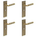 PACK Antique Brass Door Handle Lock Backplate with Versatile Mounting Options Solid Brass Interior Handle