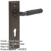 Luxury Dark Bronze Euro Backplate Door Handle with Knurled Detail Solid Brass Interior Handle-1