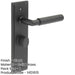 Premium Solid Brass Door Handle with Black Backplate Bathrooms Solid Brass Interior Handle-1