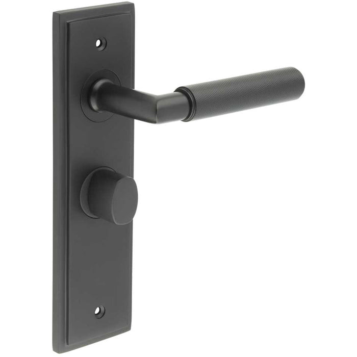 Premium Solid Brass Door Handle with Black Backplate Bathrooms Solid Brass Interior Handle