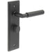 Premium Solid Brass Door Handle with Black Backplate Bathrooms Solid Brass Interior Handle