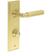 Satin Brass Bathroom Door Handle with Backplate Turn Release Solid Brass Interior Handle (8)