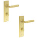 PACK Satin Brass Door Handle with Backplate Bathrooms Elegant Turn Release Mechanism Solid Brass Interior Handle (1)