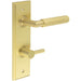 Satin Brass Bathroom Door Handle with Turn Release Mechanism Solid Brass Interior Handle