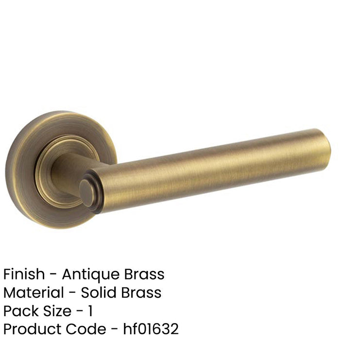 Elegant Antique Brass Door Handle with Customizable Roses Solid Brass Interior Handle-1