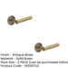 PACK Elegant Antique Brass Door Handle with Chamfered Rose Design Solid Brass Interior Handle (1)-1