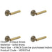 PACK Elegant Antique Brass Door Handle with Chamfered Rose Design Solid Brass Interior Handle-1