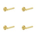 PACK Luxurious Satin Brass Reeded Door Handle with Customizable Roses Solid Brass Interior Handle