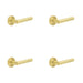 PACK Premium Knurled Satin Brass Door Handle with Customizable Roses Solid Brass Interior Handle