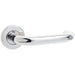 Contemporary 19mm Door Handle with Sprung Rose Polished Grade Stainless Steel Interior Handle