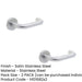 PACK Contemporary 19mm Satin Stainless Steel Door Handle Sprung Rose Interior Handle (3)-1