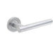 Durable Satin Stainless Steel Door Handle Rose Residential Commercial Interior Handle (1)