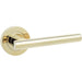 Stylish Brass Finish Door Handle Modern Interiors Interior Handle