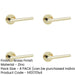 PACK Stylish Brass Finish Door Handle Modern Interiors Interior Handle-1