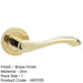 Elegant Brass Finish Door Handle Traditional Interiors Interior Handle-1