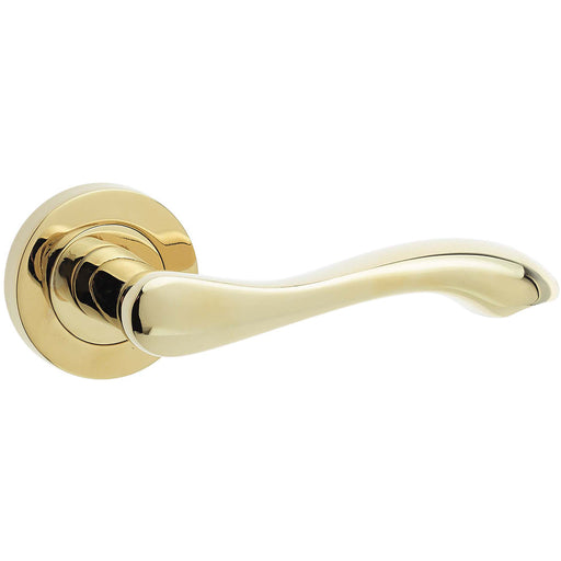 Elegant Brass Finish Door Handle Traditional Interiors Interior Handle