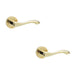 PACK Elegant Brass Finish Door Handle Traditional Interiors Interior Handle (1)