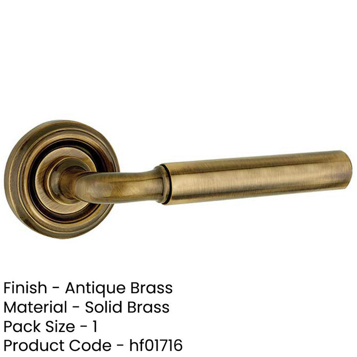 Elegant Antique Brass Door Handle Modern Homes Interior Handle-1