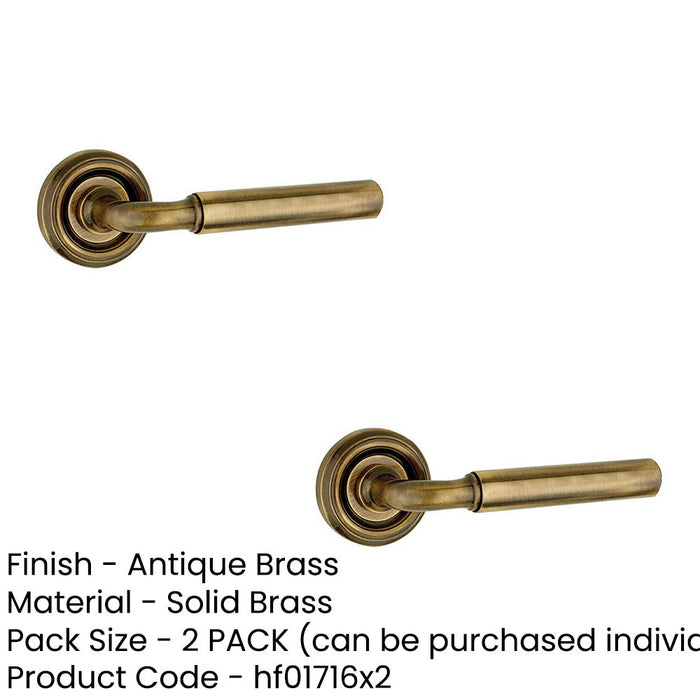 PACK Elegant Antique Brass Door Handle Modern Homes Interior Handle (1)-1
