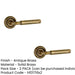 PACK Elegant Antique Brass Door Handle Modern Homes Interior Handle (1)-1