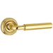 Elise Polished Brass Door Handle Rose Modern Design Interior Handle