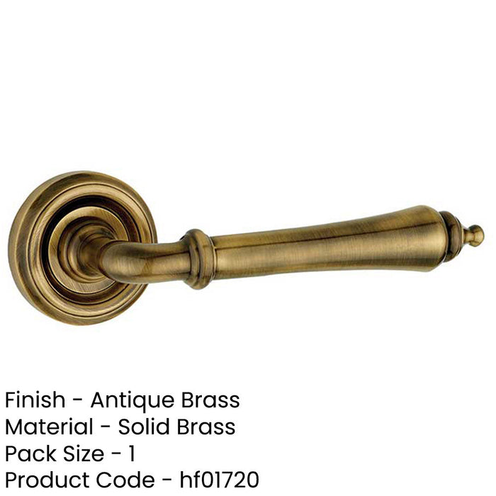 Elegant Antique Brass Door Handle with Rose Design Interior Handle-1
