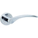 Elegant Polished Chrome Door Handle Rose Modern Traditional Interiors Interior Handle