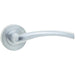 Elegant Satin Chrome Door Handle Rose Stylish Interiors Interior Handle