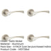 PACK Elegant Satin Nickel Door Handle Rose Contemporary Design Interior Handle-1