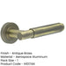High-Quality Antique Brass Lever Door Handle Rose Elegant Interiors Interior Handle-1