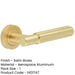 Elegant Satin Brass Lever Door Handle Rose Modern Interiors Interior Handle-1